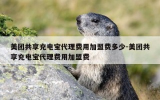 美团共享充电宝代理费用加盟费多少-美团共享充电宝代理费用加盟费