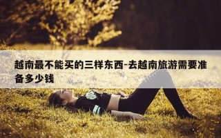 越南最不能买的三样东西-去越南旅游需要准备多少钱