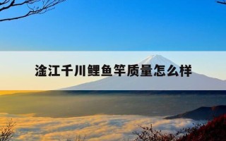 淦江千川鲤鱼竿质量怎么样-千川鲤鱼竿怎么样