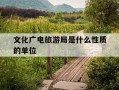 文化广电旅游局是什么性质的单位-文化广电和旅游局的主要职能有哪些