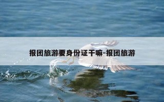 报团旅游要身份证干嘛-报团旅游