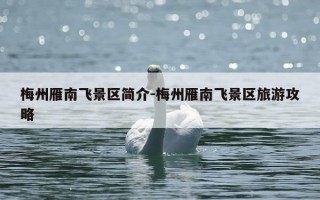 梅州雁南飞景区简介-梅州雁南飞景区旅游攻略