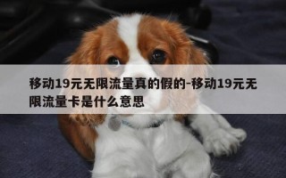 移动19元无限流量真的假的-移动19元无限流量卡是什么意思