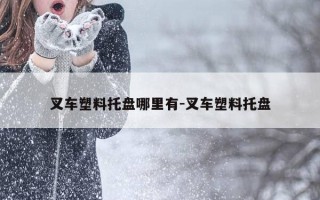 叉车塑料托盘哪里有-叉车塑料托盘