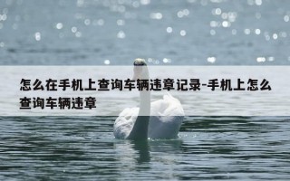 怎么在手机上查询车辆违章记录-手机上怎么查询车辆违章