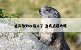 宜宾旅游攻略来了-宜宾旅游攻略