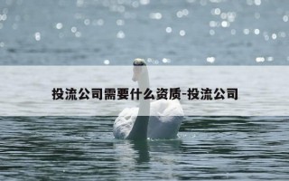 投流公司需要什么资质-投流公司