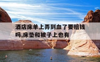 酒店床单上弄到血了要赔钱吗,床垫和被子上也有-酒店床单上弄到血了要赔偿