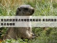 青岛的旅游景点有哪些用英语说-青岛的旅游景点有哪些
