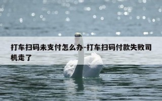 打车扫码未支付怎么办-打车扫码付款失败司机走了