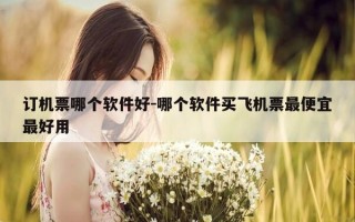 订机票哪个软件好-哪个软件买飞机票最便宜最好用