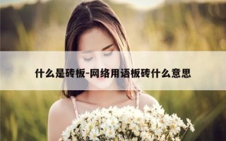 什么是砖板-网络用语板砖什么意思