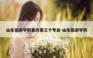 山东旅游学院最厉害三个专业-山东旅游学院