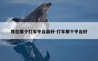 现在那个打车平台最好-打车那个平台好