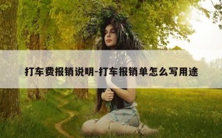 打车费报销说明-打车报销单怎么写用途