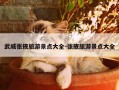 武威张掖旅游景点大全-张掖旅游景点大全