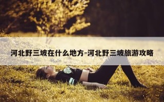 河北野三坡在什么地方-河北野三坡旅游攻略