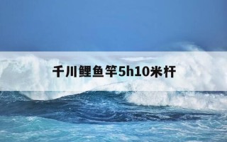 千川鲤鱼竿5h10米杆-千川鲤鱼竿测试视频