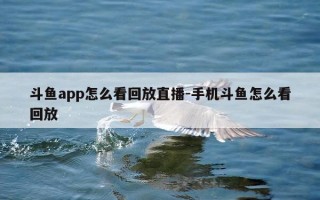 斗鱼app怎么看回放直播-手机斗鱼怎么看回放