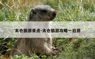 太仓旅游景点-太仓旅游攻略一日游