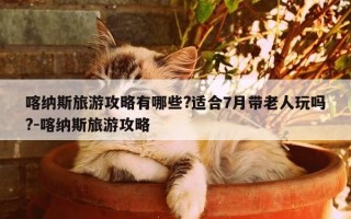 喀纳斯旅游攻略有哪些?适合7月带老人玩吗?-喀纳斯旅游攻略