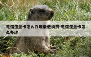 电信流量卡怎么办理最低消费-电信流量卡怎么办理