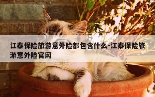 江泰保险旅游意外险都包含什么-江泰保险旅游意外险官网