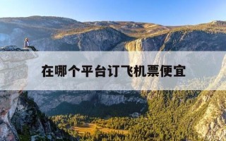 在哪个平台订飞机票便宜-在哪个网订飞机票便宜