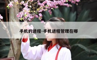 手机的进程-手机进程管理在哪