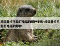 纯流量卡不能打电话的那种手机-纯流量卡不能打电话的那种
