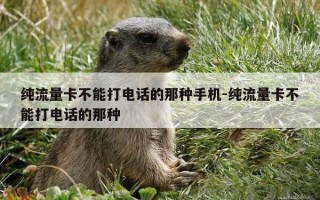 纯流量卡不能打电话的那种手机-纯流量卡不能打电话的那种