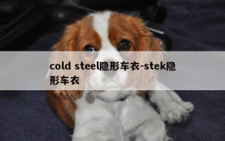 cold steel隐形车衣-stek隐形车衣