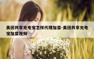 美团共享充电宝怎样代理加盟-美团共享充电宝加盟视频