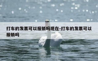 打车的发票可以报销吗现在-打车的发票可以报销吗