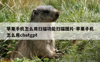 苹果手机怎么用扫描功能扫描图片-苹果手机怎么用chatgpt