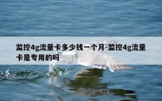 监控4g流量卡多少钱一个月-监控4g流量卡是专用的吗