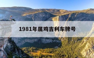 1981年属鸡吉利车牌号-1981年属鸡车的最佳车牌尾数