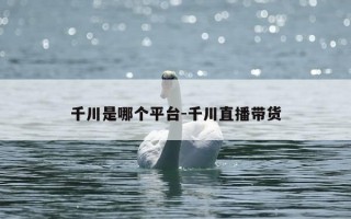 千川是哪个平台-千川直播带货