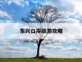 东兴口岸旅游攻略-东兴口岸必买的10件东西