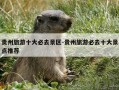 贵州旅游十大必去景区-贵州旅游必去十大景点推荐