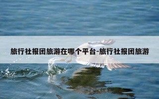 旅行社报团旅游在哪个平台-旅行社报团旅游