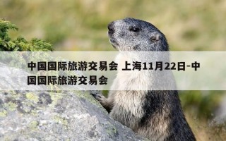 中国国际旅游交易会 上海11月22日-中国国际旅游交易会