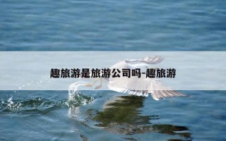 趣旅游是旅游公司吗-趣旅游