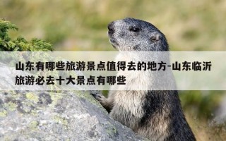 山东有哪些旅游景点值得去的地方-山东临沂旅游必去十大景点有哪些