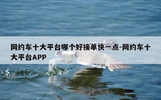 网约车十大平台哪个好接单快一点-网约车十大平台APP