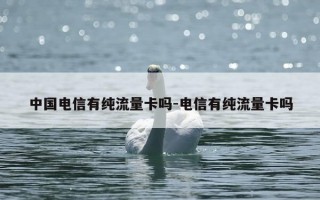 中国电信有纯流量卡吗-电信有纯流量卡吗