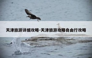 天津旅游详细攻略-天津旅游攻略自由行攻略