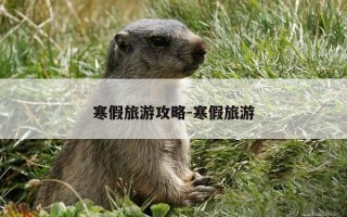 寒假旅游攻略-寒假旅游