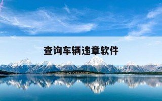 查询车辆违章软件-查询车辆违章软件有哪些