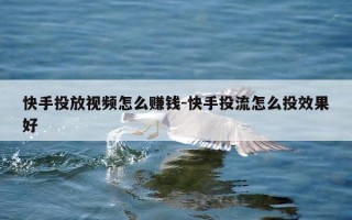 快手投放视频怎么赚钱-快手投流怎么投效果好
